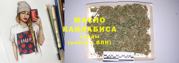 гашик Новозыбков