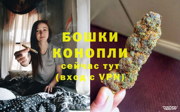 гашик Новозыбков
