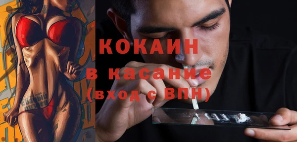 гашик Новозыбков