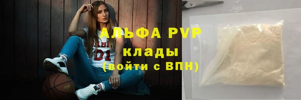 гашик Новозыбков