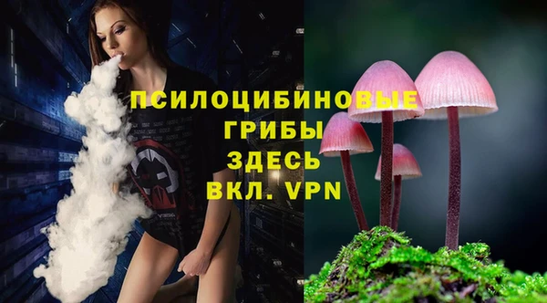 гашик Новозыбков