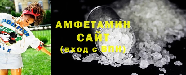 гашик Новозыбков
