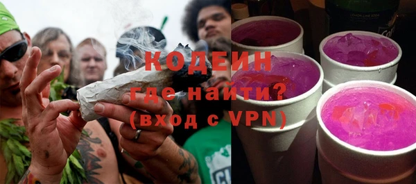 гашик Новозыбков