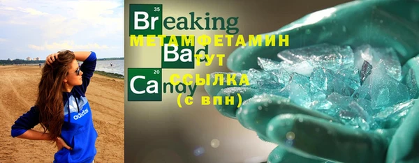 гашик Новозыбков