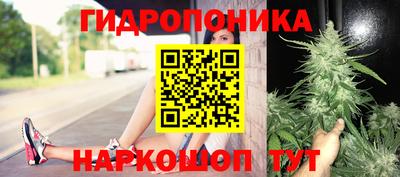 тгк Дубна