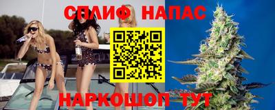 спиды Донской