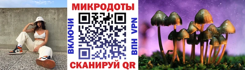 купить наркотики сайты  Клинцы  Галлюциногенные грибы GOLDEN TEACHER 