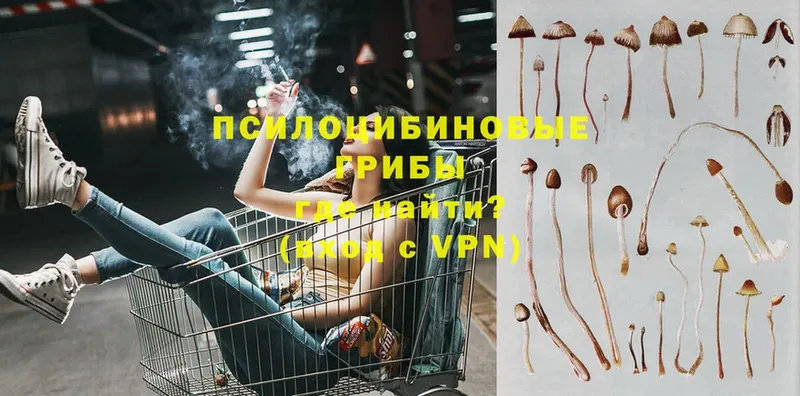 купить закладку  ОМГ ОМГ ССЫЛКА  Псилоцибиновые грибы Psilocybe  Клинцы 