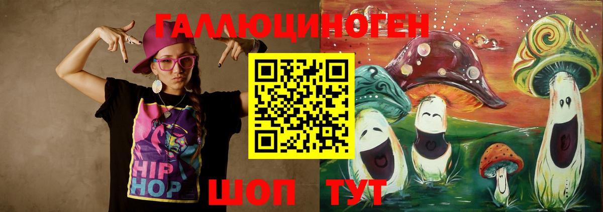 Псилоцибиновые грибы Psilocybe Клинцы